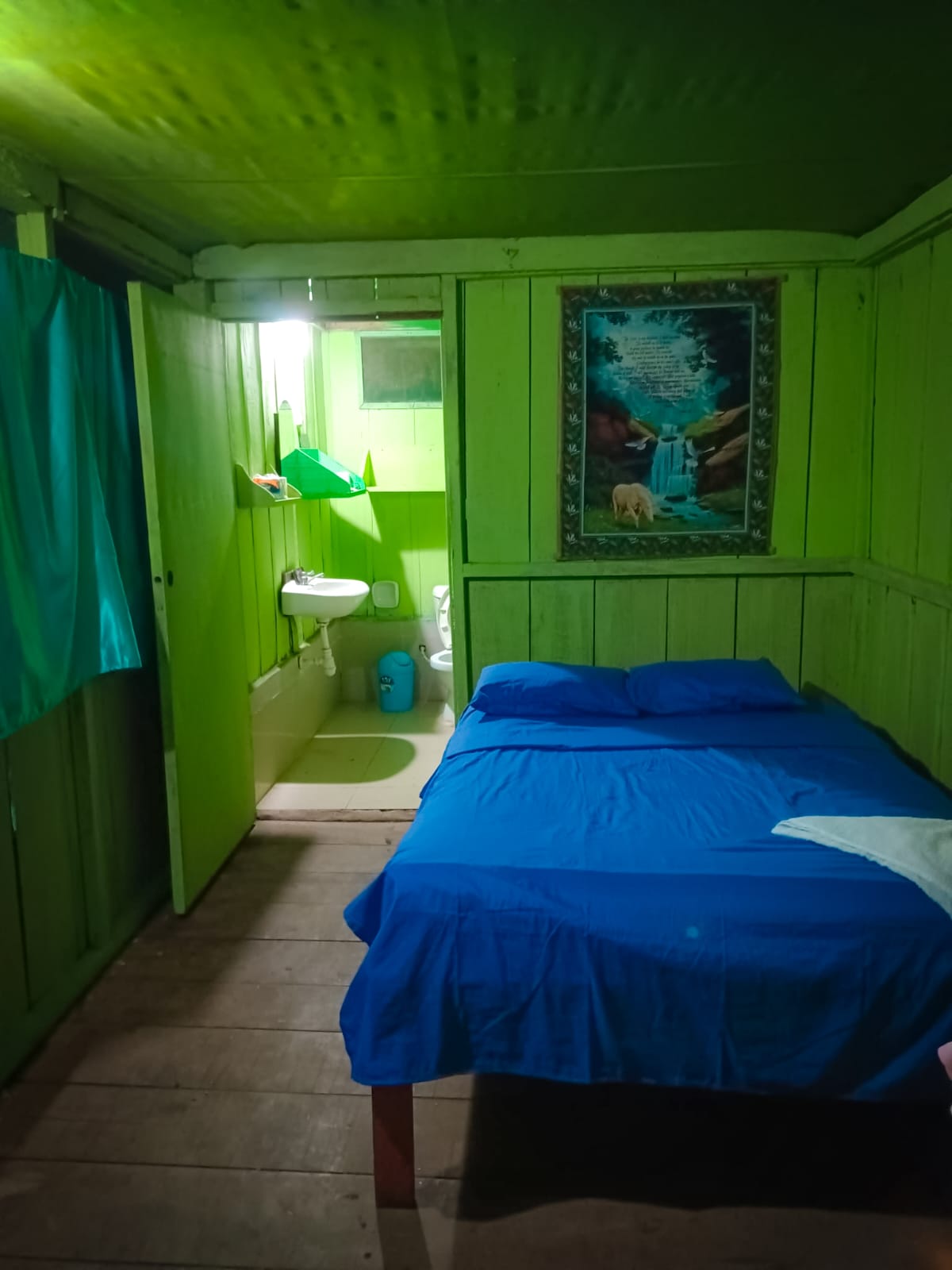 Magic Jungle 3 Days - 2 Nights