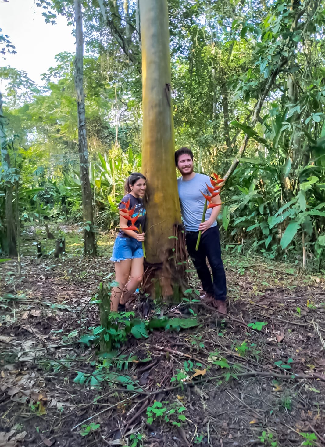 Magic Jungle 3 Days - 2 Nights